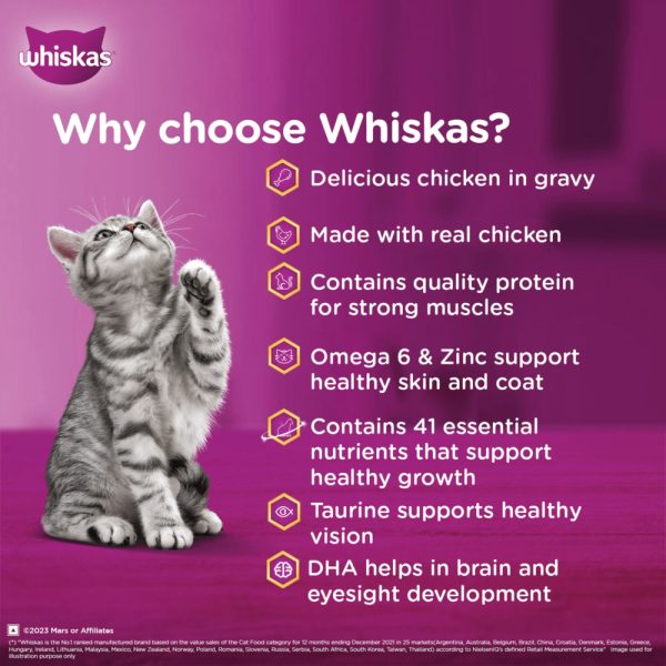 Whiskas Chicken in Gravy Kitten (2-12 Months) Wet Cat Food (85gx48) - Image 3