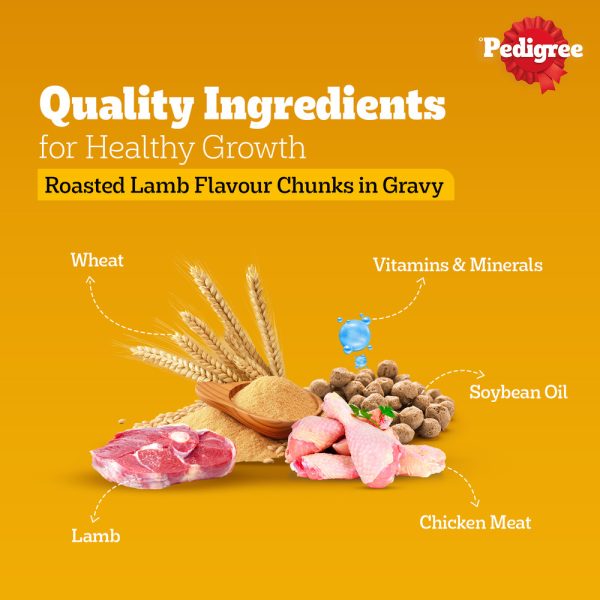 Pedigree Roasted Lamb Flavour Chunks in Gravy Adult Wet Dog Food (70gx30) - Image 4