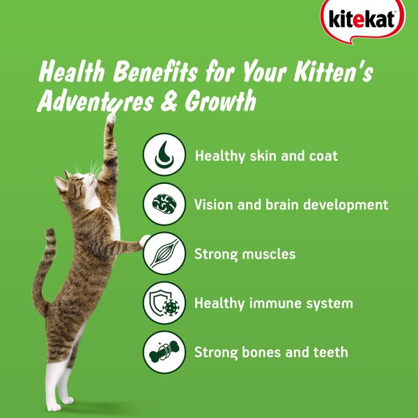 Kitekat Ocean Fish Flavour Kitten (2-12 Months) Dry Cat Food 370g - Image 3