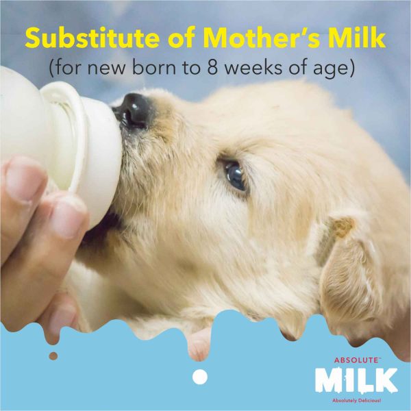 Drools Absolute Milk for Newborn Puppies, 500g - Image 3