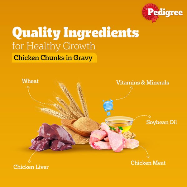 Pedigree Chicken Chunks in Gravy Puppy Wet Dog Food 130g - Image 4