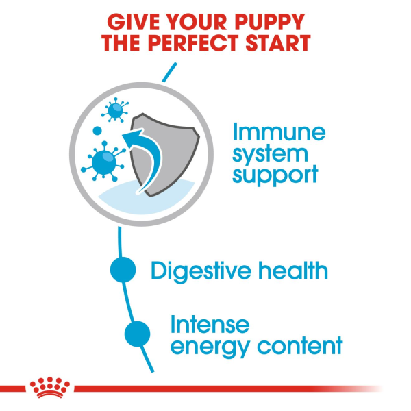 Royal Canin Mini Puppy Gravy 85g - Image 3