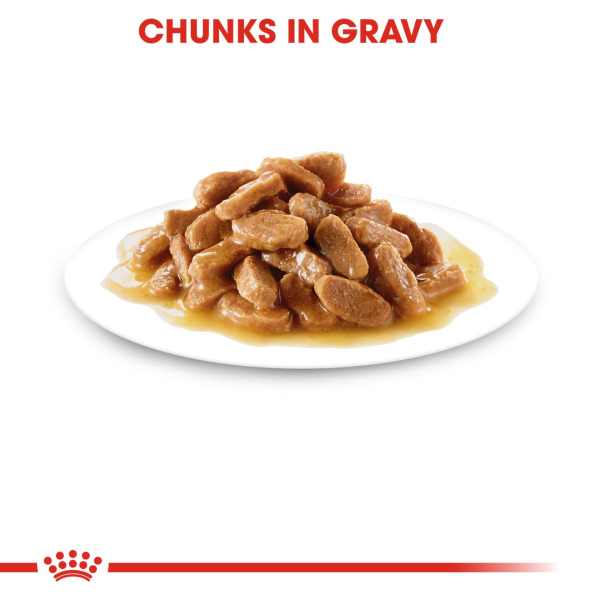 Royal Canin Mini Puppy Gravy 85g - Image 2