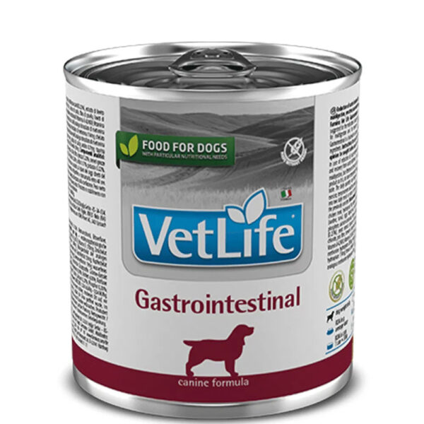 VetLife Dog Gastrointestinal 300gm