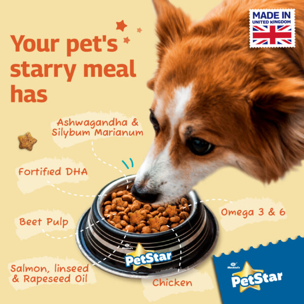 Petstar Adult Chicken and Wheat 3kg Dog Food - Image 3