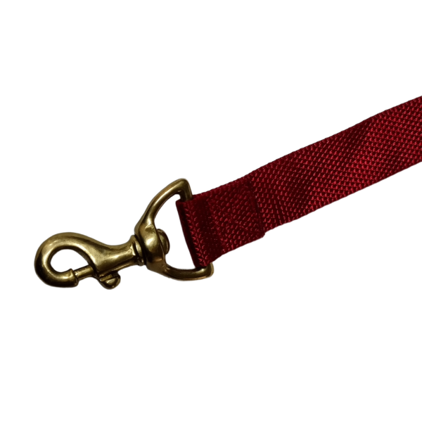 PETZ Red Nylon Leash With Brass Hook 1.1/2 inch - Image 2